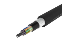 Metalik Olmayan Zırhlı Gevşek Tüplü Dış Mekan Fiber Kablosu – PE/PA/PE
Kılıf, 96 Fiber