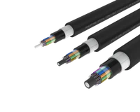 Metalik Olmayan Zırhlı Gevşek Tüplü Dış Mekan Fiber Kablosu – PE/PA/PE
Kılıf, 72, 96 ve 144 Fiber