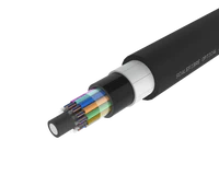 Metalik Olmayan Zırhlı Gevşek Tüplü Dış Mekan Fiber Kablosu – PE/PA/PE
Kılıf, 144 Fiber