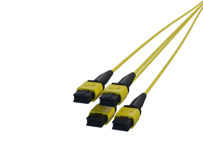 12 Fibre MPO Connectors