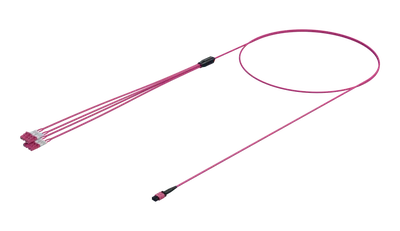 MPO ל-LC Fanout של 8 סיבים, OM4 Erika Violet