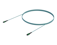 NVIDIA Compatible Straight MPO Cable (OM4 APC)
