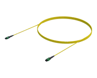 NVIDIA Compatible Straight MPO Cable (OS2 APC)