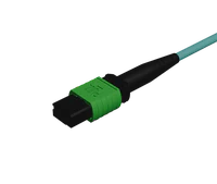 MPO Angled Physical Contact Connector on OM4 Multimode