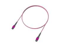 12 Fiber OM4 Çok Modlu MPO(12F) Gövde, Erika Violet