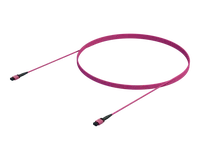12 Fibre OM4 Multi Mode MPO(12F) Trunk, Erika Violet