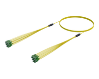 SC/APC Micro Cable Assembly, 12-Fibre, Single-mode G.657.A1