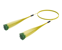 SC/APC Micro Cable Assembly, 24-Fibre, Single-mode G.657.A1